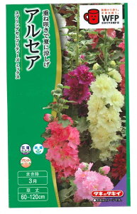 Ԏq AZAuXvOZueB[Y ~bNXv 15i^LCcjy݁z ^`AIC  ~J zzbN XvOZueB[Y~bNX FHAA00