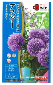花種子 アスター「ブリリアン EXブルー」0.15ml（タキイ種苗）【送料込み】 ブリリアンEXブルー 蝦夷菊 エゾギク 薩摩菊 サツマギク 春まき 秋まき フラワーアレンジメント 農林水産省登録品種登録出願中（品種名：TA981） FAS593