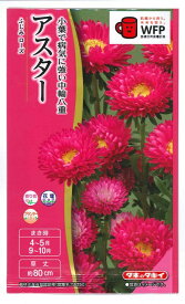 花種子 アスター「ふじみ ローズ」0.3ml（タキイ種苗）【送料込み】 ふじみローズ 蝦夷菊 エゾギク 薩摩菊 サツマギク ガーデニング FAS571