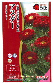 花種子 アスター「ふじみ スカーレット」0.3ml（タキイ種苗）【送料込み】 ふじみスカーレット 蝦夷菊 エゾギク 薩摩菊 サツマギク ガーデニング FAS572