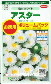 花種子　『　サカタのタネ　』　　　　　　アスター(松本　ホワイト)　3ml袋詰　【　送料込み　】