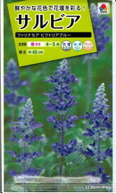 花種子 サルビア「ファリナセア ビクトリアブルー」　0.3ml（タキイ種苗）　【送料込み】セージ 緋衣草 ひいそう ヒイソウ FSR511