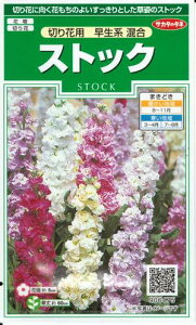 Ԏq XgbNu؂ԗp n v@0.2mliTJ^̃^lj@y݁z AZCgE 点Ƃ