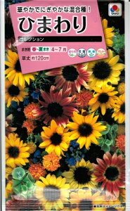 Ԏq Ђ܂uRNVv@2mli^LCcj@y݁z q} FHM604