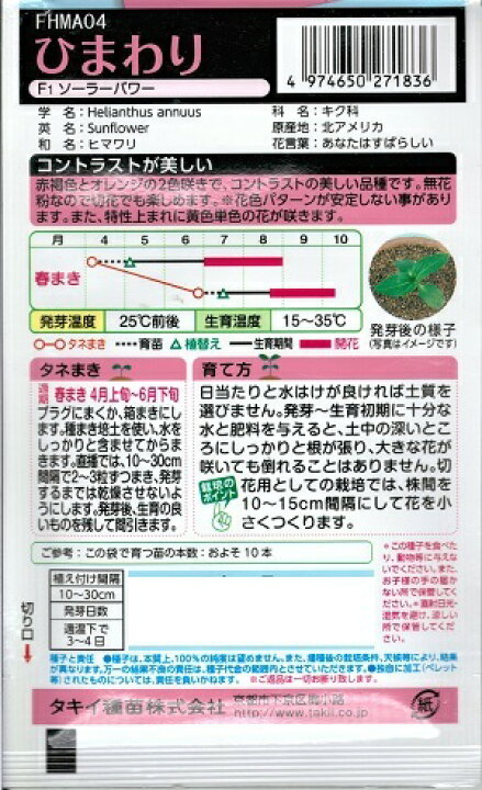 花種子 タキイ種苗 ひまわり ソニア 約３０本分 ２ｍｌ袋詰 新作入荷 新品 ひまわり