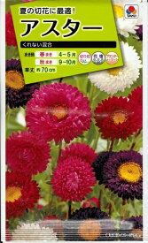 花種子 アスター「くれない混合」1.5ml（タキイ種苗）【送料込み】 くれないこんごう 蝦夷菊 エゾギク 薩摩菊 サツマギク FAS540
