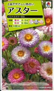 Ԏq AX^[upXeJ[v1mli^LCcj@y݁zڈ΋e G]MN Fe Tc}MN FAS629