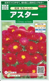 花種子 アスター「松本 スカーレット」1ml（サカタのタネ）【送料込み】蝦夷菊 エゾギク 薩摩菊 サツマギク