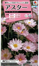 花種子 アスター「ナナ サーモンピンク」　0.5ml（タキイ種苗）【送料込み】 蝦夷菊 エゾギク 薩摩菊 サツマギク FAS385 農林水産省登録品種（品種名：TA538）