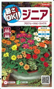 Ԏq WjAuvt[W ~bNXv0.3mliTJ^̃^lj@y݁zS ЂႭɂ qNj`\E _ѐYȓo^i