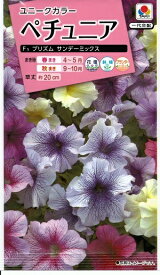 楽天市場 ペチュニア 苗の通販