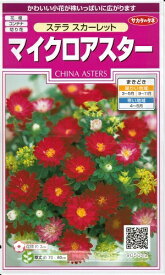 花種子 マイクロアスター「ステラ スカーレット」　0.5ml（サカタのタネ）【送料込み】 ステラスカーレット 蝦夷菊 エゾギク 薩摩菊 サツマギク