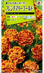 Ԏq t`}[S[hu{iUt[v@1mli^LCcjy݁z {iUt[ g REIE\E E NWN\E e }WMN