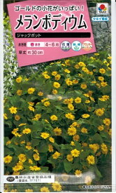 花種子　『　タキイ種苗　』　メランポディウム(ジャックポット)　30粒袋詰　【　送料込み　】