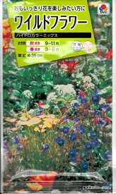 花種子 ワイルドフラワー「ハイドロカラーミックス」　15ml（タキイ種苗）　【送料込み】 ネイティブフラワー