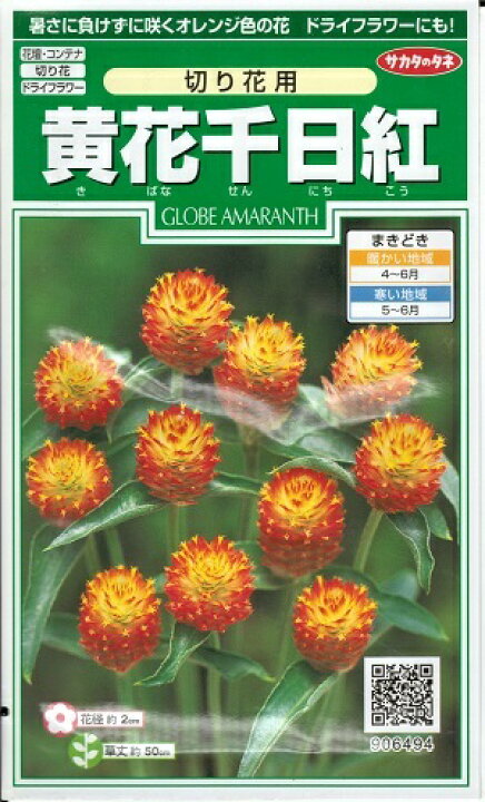 楽天市場 花種子 サカタのタネ 黄花千日紅 切り花用 0 7ml袋詰 送料無料 鈴乃園 楽天市場店