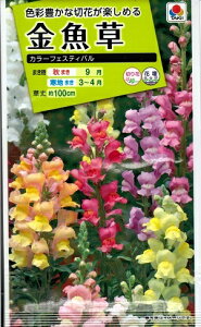 Ԏq uJ[tFXeBov0.6mli^LCcj@y݁z񂬂傻 LM\E XibvhS Aei FKG110