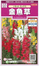 花種子 金魚草「ソネット ミックス」　 0.05ml（サカタのタネ）　【送料込み】 きんぎょそう／キンギョソウ／スナップドラゴン／アンテリナム