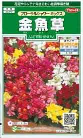 花種子 金魚草「フローラルシャワー ミックス」　0.05ml（サカタのタネ）　【送料込み】きんぎょそう／キンギョソウ／スナップドラゴン／アンテリナム