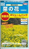 【お徳用・大袋】花種子 菜の花「寒咲系混合」5g（サカタのタネ）【送料込み】 かんざきけいこんごう カ…