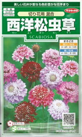 楽天市場 切り花用 種 種子 ガーデニング 農業 花 ガーデン Diyの通販