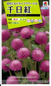 花種子 千日紅「オードリー ピンクインプ」　 0.25ml（タキイ種苗）　【送料込み】 センニチコウ／千日草／センニチソウ／グローブ・アマランス／アマランサス