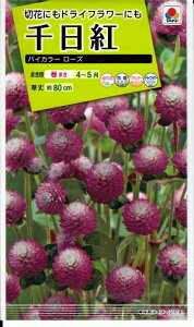 Ԏq guoCJ[ [Yv@0.4mli^LCcj@y݁zZj`RE  Zj`\E O[uEA}X A}TX hCt[ FSE165