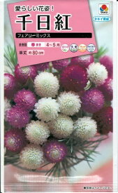 花種子　『　タキイ種苗　』　千日紅(フェアリー　ミックス)　0.5ml袋詰　【　送料込み　】