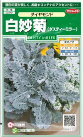 花種子 白妙菊「ダイヤモンド」　 0.3ml（サカタのタネ）　【送料込み】 シロタエギク／しろたえぎく／ダスティーミラー