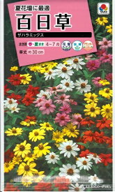 楽天市場 百日草 種の通販 楽天市場 百日草 種の通販