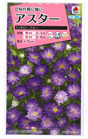 花種子 アスター「トゥモロー ブルー」0.3ml（タキイ種苗）【送料込み】 トゥモローブルー 蝦夷菊 エゾギク 薩摩菊 サツマギク 春まき 秋まき FAS395 農林水産省登録品種（品種名：TA989）