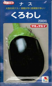 ؎q iXu킵v35^60^200^500^1,000^2,000i^LCcj y݁z֎q^Ȃ^ăiX