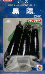 ؎q iXuzv 60^2,000i^LCcj y݁z悤 RNE ֎q Ȃ  ɑ