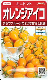 【人気品種】野菜種子 ミニトマト「オレンジアイコ」13粒／1,000粒（サカタのタネ）【送料込み】 プラム形 家庭菜園 茎葉病気抵抗性