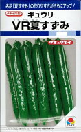 【人気品種】野菜種子 キュウリ「VR夏すずみ」13粒／50粒／100粒／200粒／350粒（タキイ種苗）【送料込み…