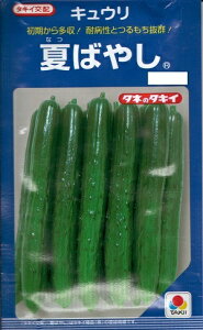 ؎q LEuĂ΂₵v@15^350i^LCcj@y݁zȂ΂₵ ďHӉZ イ  ϕa