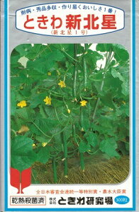 ؎q LEuVkv350iƂ팤jy݁zق VzNZC ӉZ イ ϕa Gi  ďH͔| ƒ؉