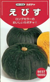 野菜種子 カボチャ「えびす」　19粒／50粒／100粒／500粒（タキイ種苗）　【送料込み】 エビス 南瓜 かぼちゃ 着果性 肥大性 多収量 家庭菜園