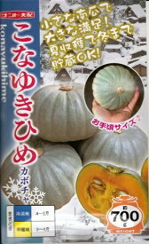 楽天市場 かぼちゃ 種 白皮の通販