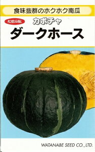 ؎q J{`u_[Nz[Xv@9^50^100^500inӍ̎j@y݁z zNzNZ ققڂ n[g^