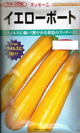 野菜種子 ズッキーニ「イエローボート」10粒／30粒／50粒／100粒（カネコ種苗）【送料込み】 瓜 ウリ うり 家庭菜園 多収 ウイルス耐病性 省スペース