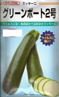 野菜種子 ズッキ－ニ「グリーンボート2号」　10粒／30粒／50粒／100粒（カネコ種苗）【送料込み】 瓜 う…