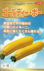 野菜種子 ズッキ－ニ「ゴールディー・ボー」　10粒／30粒／50粒／100粒（神田育種農場）　【送料込み】 ゴールディーボー 瓜 うり ウリ つるなし 家庭菜園 直売所向き 多収 耐病性