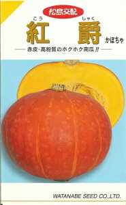 ��؎�q �Ԕ�J�{�`���u�g�݁v9���^20���^50���^100���^500���i�n�Ӎ̎��j�y�������݁z �������Ⴍ �R�E�V���N ��Z �������킩�ڂ��� ������ �z�N�z�N �n�[�g�` ������