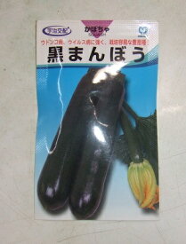 野菜種子 ズッキーニ「黒まんぼう」10粒／100粒（丸種）【送料込み】 くろまんぼう クロマンボウ ウイルス抵抗性 栽培容易 多収 豊産種