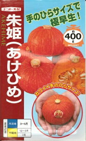 野菜種子　『ナント種苗』　かぼちゃ種子　朱姫　6粒詰／20粒詰／50粒詰／100粒詰　【送料込み】