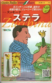 野菜種子　ズッキーニたね　(トキタ種苗)　ステラ　8粒袋詰　【送料込み】