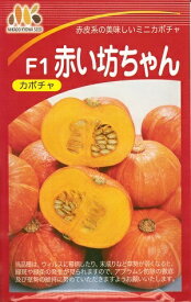 野菜種子　『ヴィルモランみかど』　かぼちゃ種子　赤い坊ちゃん　8粒詰／30粒詰／50粒詰／100粒詰／500粒詰　【送料込み】　農林水産省登録品種　(品種名　赤坊)