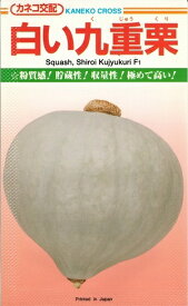 楽天市場 白 かぼちゃ 種の通販