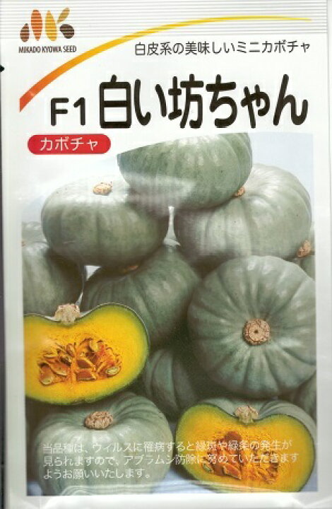楽天市場 野菜種子 カボチャ種子 みかど協和 白い坊ちゃん ６粒袋詰 送料無料 農林水産省登録品種 品種名 白坊 鈴乃園 楽天市場店